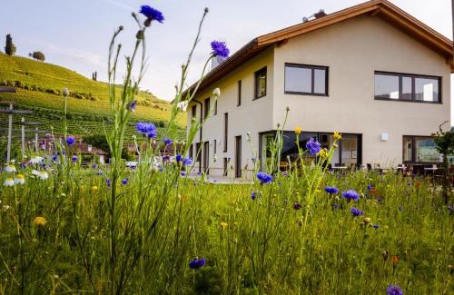 Sankt Josef Am See Bed & Breakfast | Rösslhof