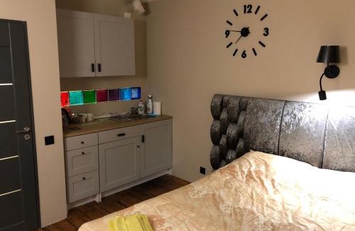Stameriena Apartment | R.Wolf castle