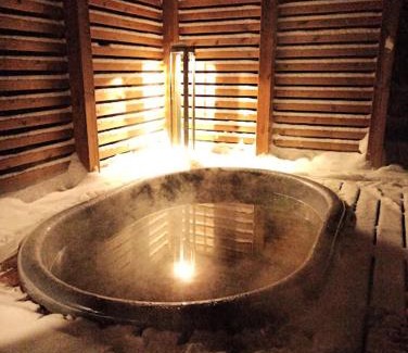 Kittila Apartment | Rafi - Hiljaisuuden kylä, Aurora Cabin 1