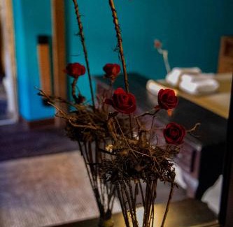 Torre de Don Miguel Apartment | RAICES Casa Rural