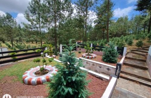 Villa Aldama Other | Rancho El Plantel