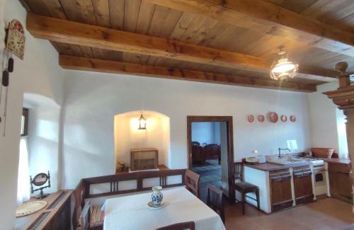 Talisoara Villa | Rauber Baron Cottage-Traditional Comfort House