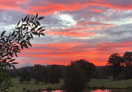 Gruyere House | Raynella Alpaca Farmstay