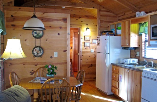 Altamont Cabin | Real Logs-1BR, queen bed & futon-sleeps 4. Riverside w/Hot Tub