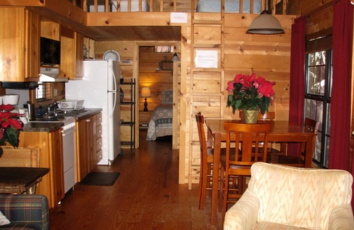 Altamont Cabin | Real Logs-1BR, sleeping loft & futon-sleeps 6. Riverside w/Hot Tub