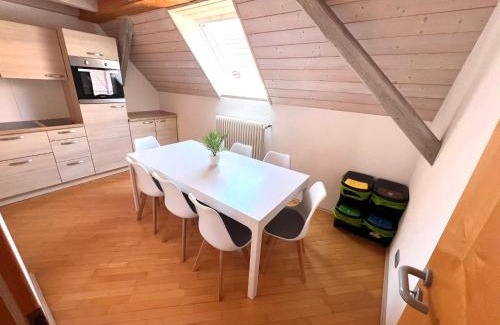 Bahlingen Apartment | Rebhof Bahlingen Ferienwohnungen Nr 16 Muskateller