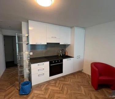 Brugg Apartment | Red Apartment Freihofapartments