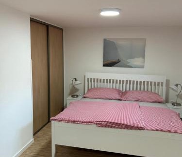 Dvur Kralove nad Labem Apartment | Red Travel Apartment