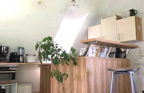 Wesseln Apartment | Reed roof Kate v. 1837