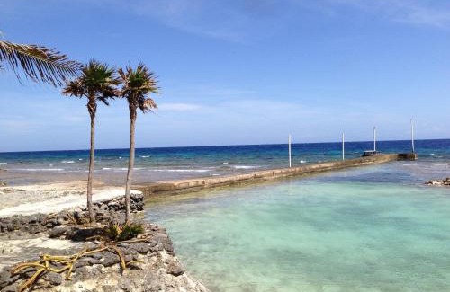 Oakridge Resort | Reef House Resort