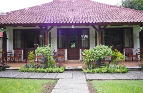 Pemuteran Resort | Reef Seen Divers' Resort