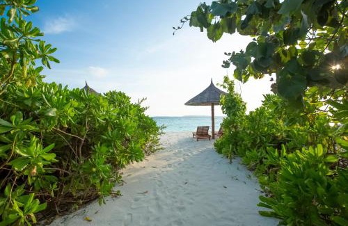 Filaidhoo Resort | Reethi Faru Resort - Stay 5 Nights or more Between Aug to Oct 2025 & Enjoy a Free Sunset Cruise