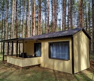 Jabara House | Reinholdi metsamaja