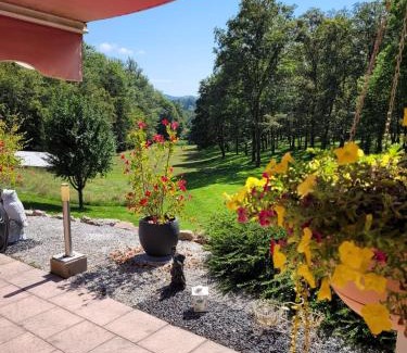 Ecromagny Apartment | Relais nature et randonnées