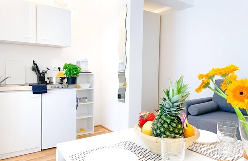 Aachen Apartment | Relax Aachener Boardinghouse Premium 1 App 5