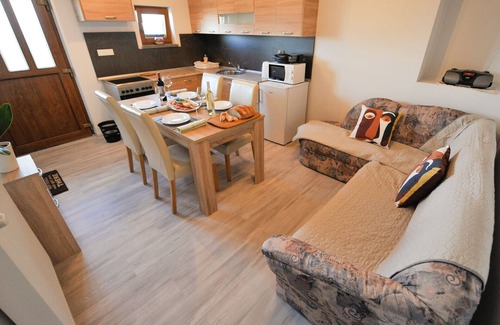 Brezice Apartment | Relax and Rustic Apartments with Terrace - Standard One Bedroom Apartment with Terrace