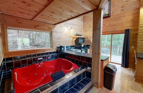 Norwalk Cabin | Relax and watch all the different wildlife pass by as you put life on pause