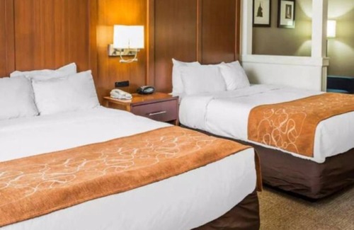 Waldorf House | Relax, Recharge, Rejoice! 2 Queen Beds- 12