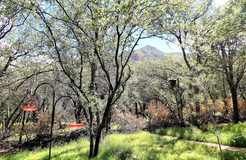 Sierra Vista Southeast House | Relaxing house on 8 acres with trails, bird garden & tours Ramsey Canyon Retreat
