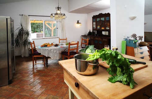 Odelouca House | Relaxing on the countryside, yet central location