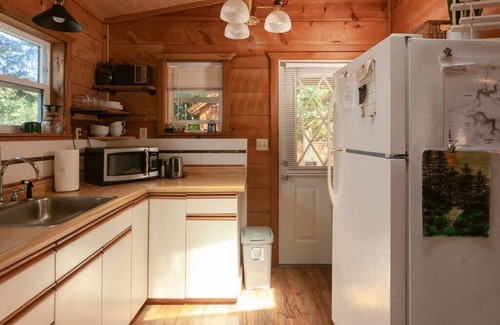 Lakeside Cabin | Remote Lakefront Cabin on North Tenmile Lake