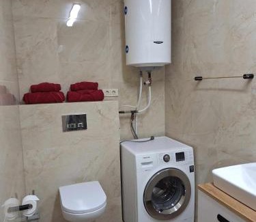 Kaunas Apartment | Rent Olamit