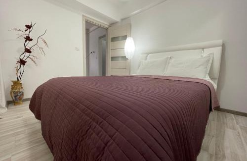 Iasi Apartment | Renting Solutions Iulius Mall