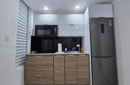 Gobernador Pinero Apartment | Reparto Metropolitano Apartments I