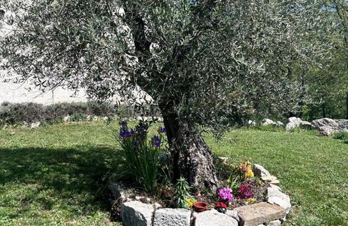 Busso Apartment | Residence San Martino