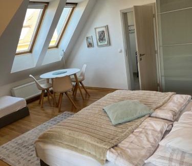 Hanspaulka Apartment | Residence Sarka