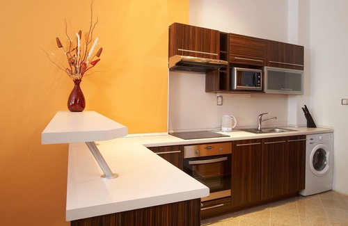Ceske Budejovice Apartment | Residence U Cerne Veze