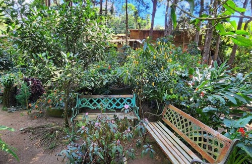Los Naranjos Cabin | Residencial El Cielo a Wonderful Place in the mountain range at Los Naranjos ESV