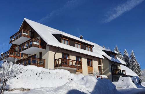 Titisee-Neustadt Apartment | Residenz Am See - Fewo 1 und Fewo 3