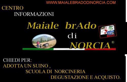 Norcia House | Resort la dimora Maiale brado di Norcia