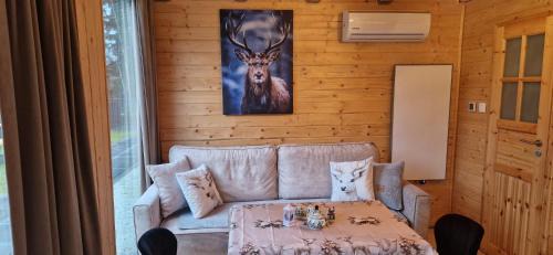 Jelesnia Apartment | Resort Rykowisko DeLuxe No 3