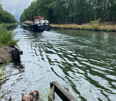 Turnhout Bed & Breakfast | Restaurant & Guesthouse Cachet de Cire
