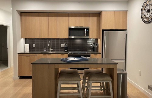 Reston Apartment | Reston Metro Apartment - Home Office off Silver Line