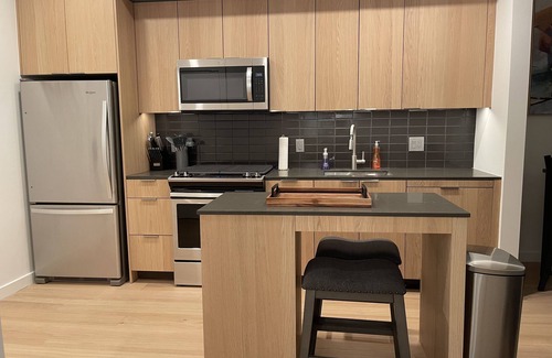 Reston Apartment | Reston Town Center Station Apartment - 10 mins walk to DC access!