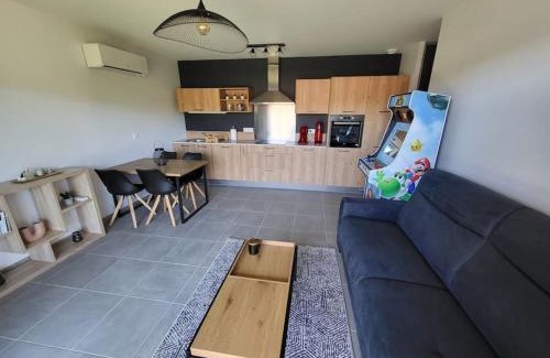 Aurillac Apartment | Rez-de-jardin de Maison avec spa et borne d'arcade