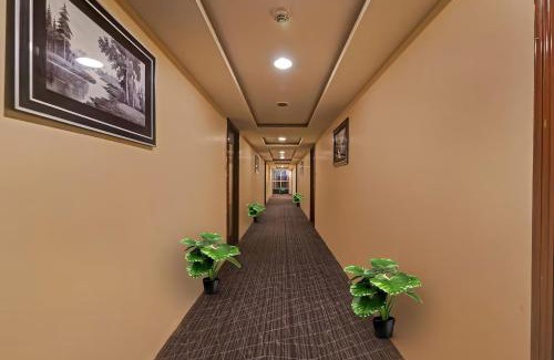 Royapettah Hotel | RG Suites Odin