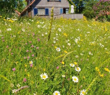 Gersfeld House | Rhöner Landhaus mit viel Flair
