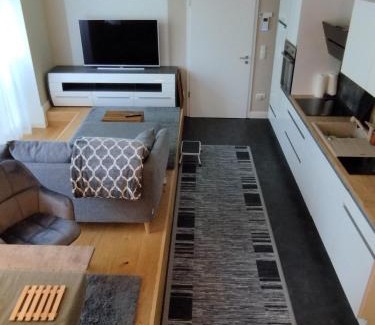 Mainz-Bingen Apartment | Rheinufer am Hindenburgpark
