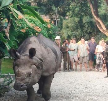 Sauraha Bed & Breakfast | Rhino Land family Home Stay chitwan with garden