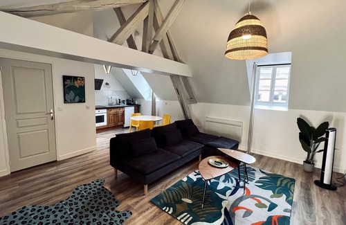 Auxerre Apartment | RhizHome - City center, spacious apartment