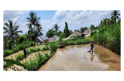 Tetebatu House | Rice Terrace Bungalows