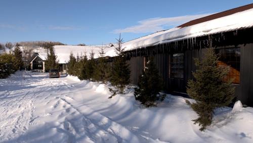 Kazakhstan Cabin | Ridder Resort Hotel