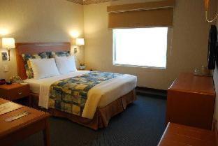 Poza Rica Hotel | Rio Vista Inn Business High Class Hotel Poza Rica