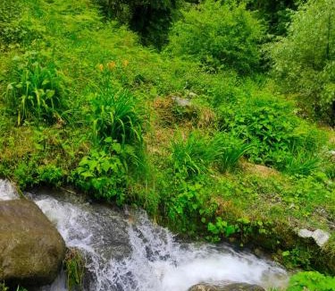 Ghiyagi House | River Front Homestay