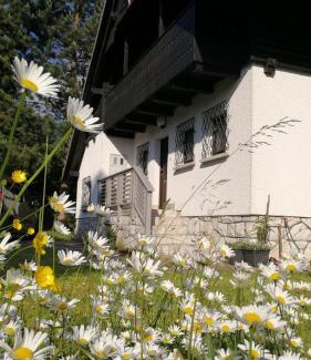 Preddvor House | River house HRIB