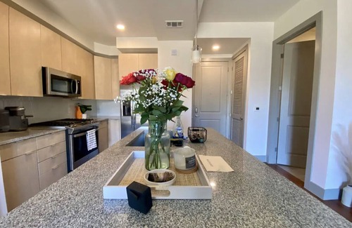 The Galleria Apartment | River Oaks 1 bedroom apartment with gym and pool